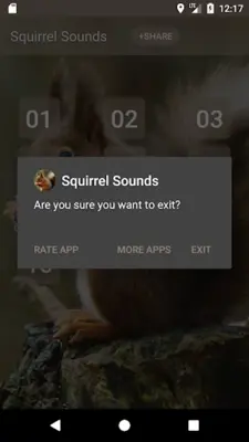 Squirrel Sounds android App screenshot 0