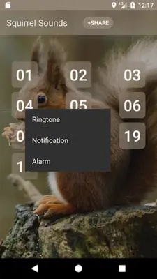 Squirrel Sounds android App screenshot 1