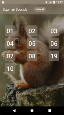 Squirrel Sounds android App screenshot 2